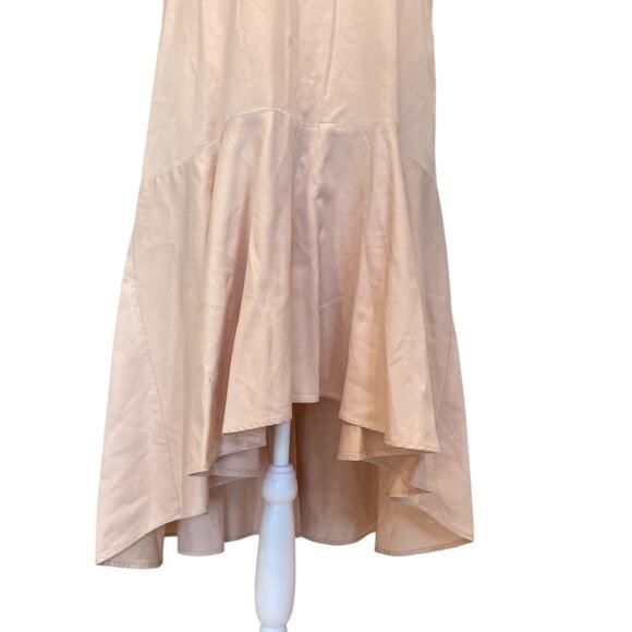 Anthropologie Maeve Camillia Blush Pink High Low Sleeveless Drop Waist Sz Large - Picture 8 of 15